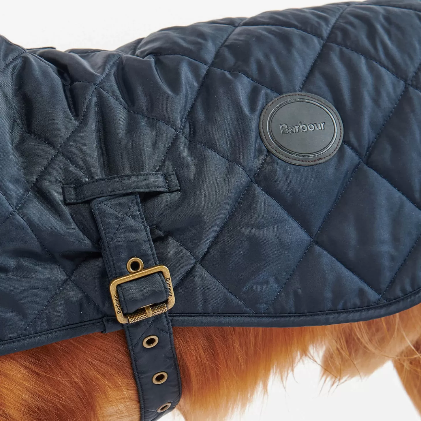 Causal Quilted Dog Coat -*Barbour Clearance