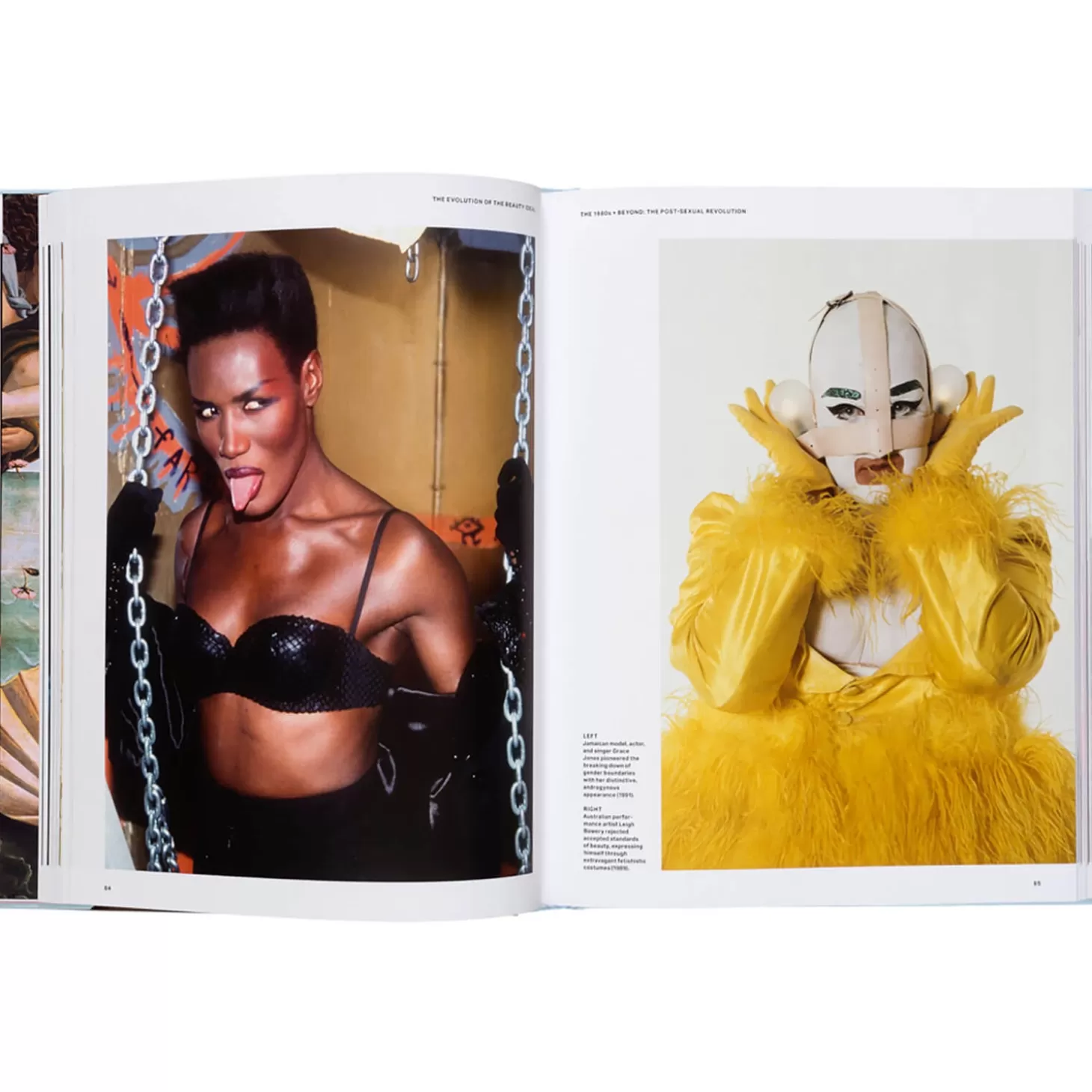 Gestalten: The New Beauty*Monocle Outlet