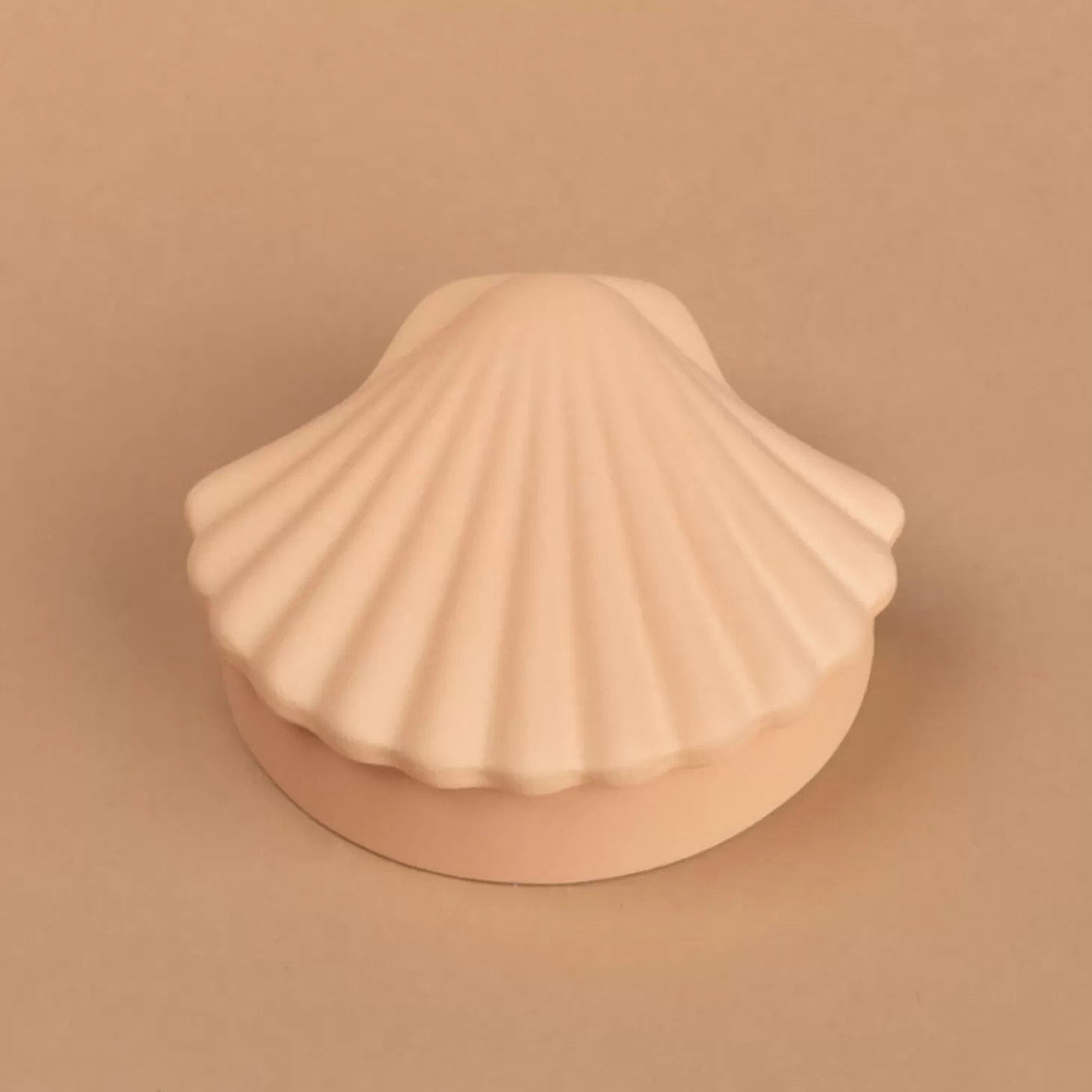 Seashell Box - Ecru*Los Objetos Decorativos Shop