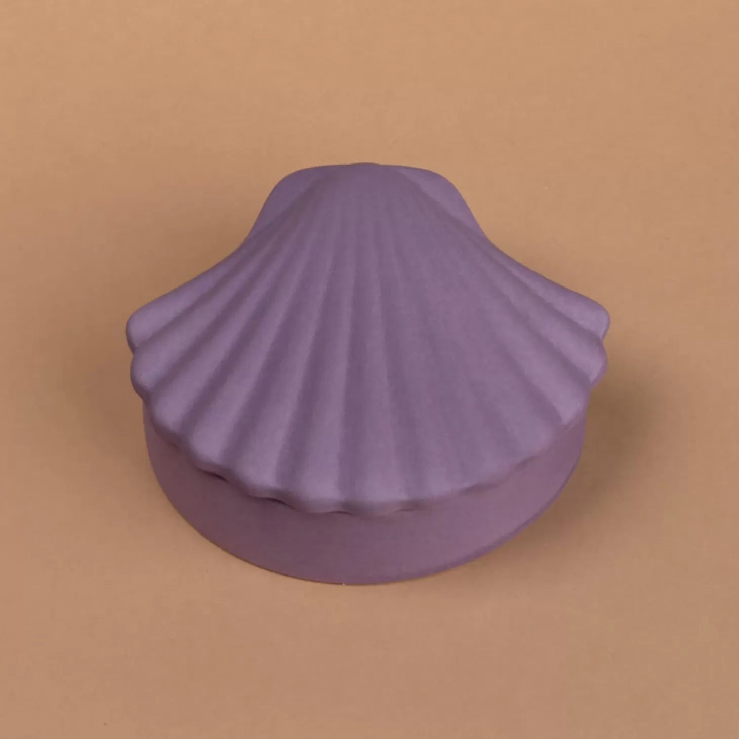 Seashell Box - Mauve*Los Objetos Decorativos Outlet