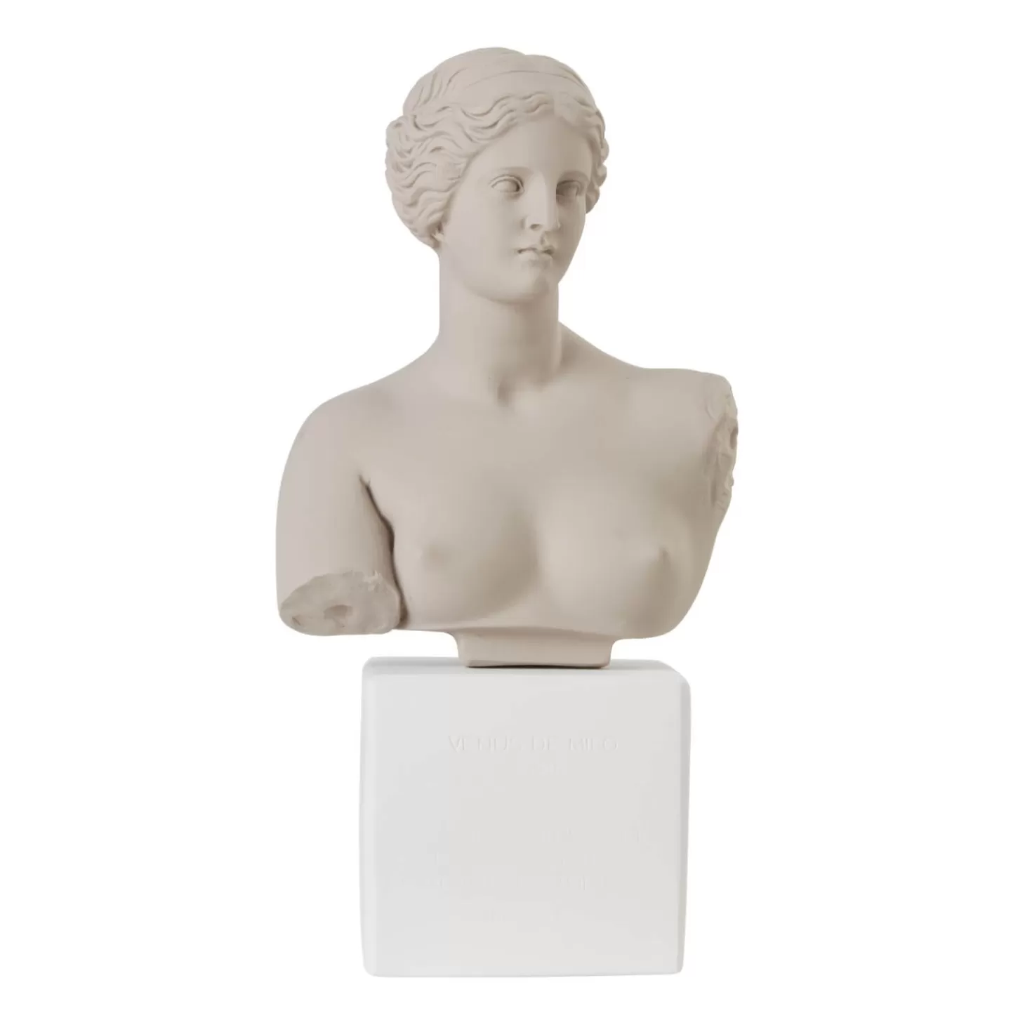 Venus Bust - Powder Grey - Medium*Sophia Enjoy Thinking Outlet