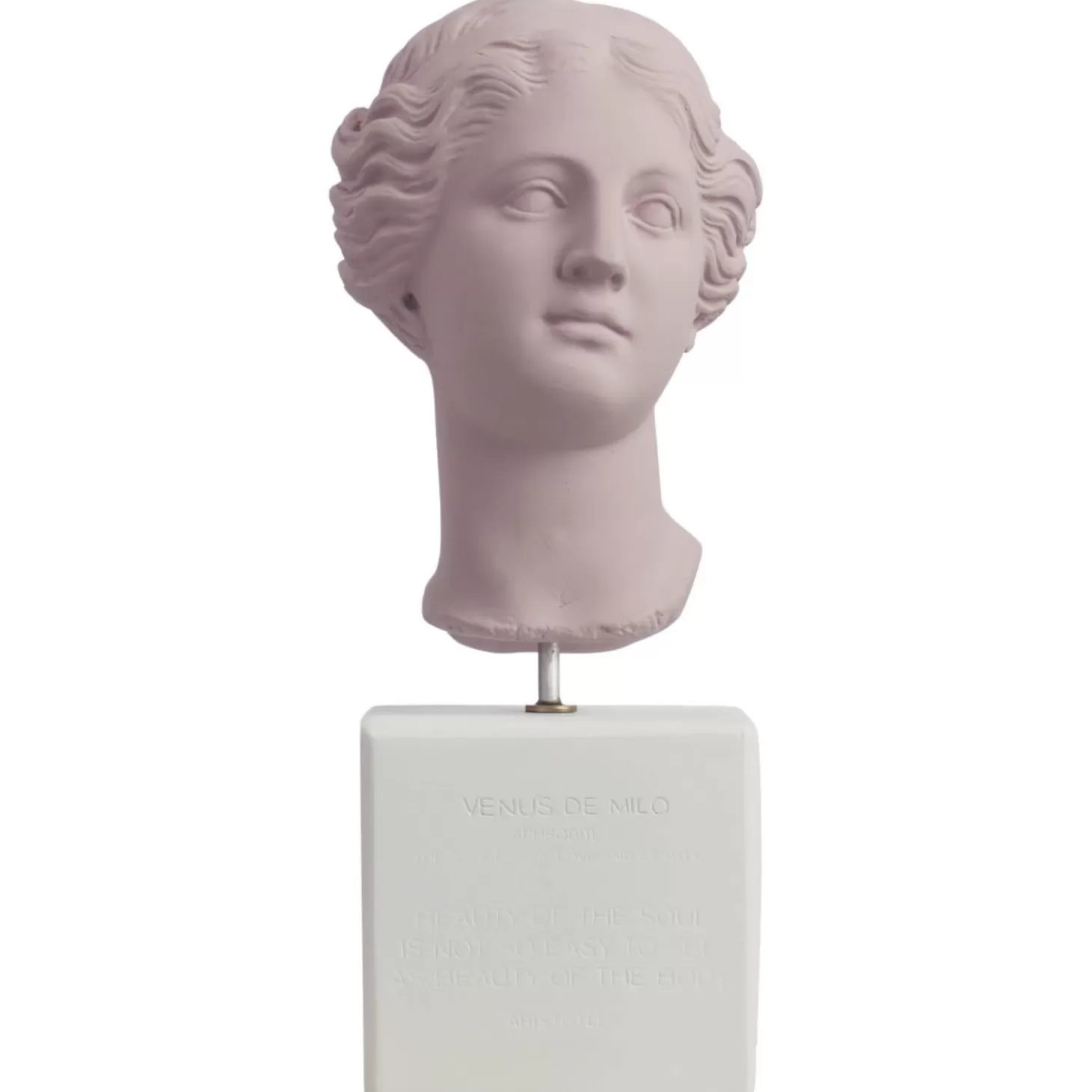 Venus Head Statue - - Medium*Sophia Enjoy Thinking Flash Sale